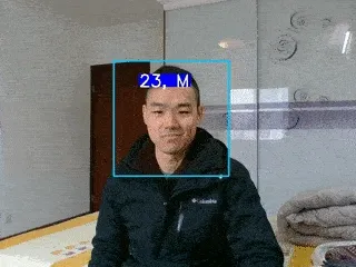 Gender detection demo