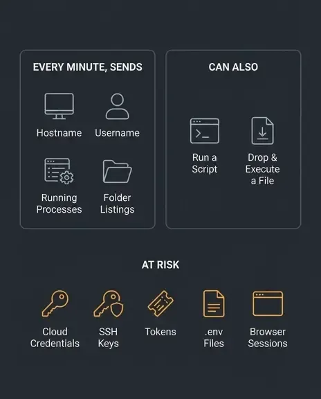 Icon infographic showing what the axios attack's remote access trojan could collect and do, including system data, file listings, and credential exposure