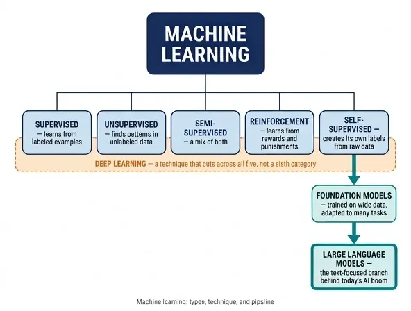 Tree diagram of machine learning types showing self-supervised learning's path to foundation models and large language models